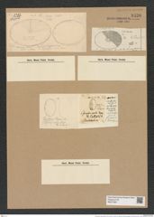 Actinocyclus raperii (Breb.) Kitt. (de-Toni-Nr.: Genus 195, Species 4790) Zeichnungen Sammlung Grunow Nr. 8436 (NHMW-BOT-W0377887)